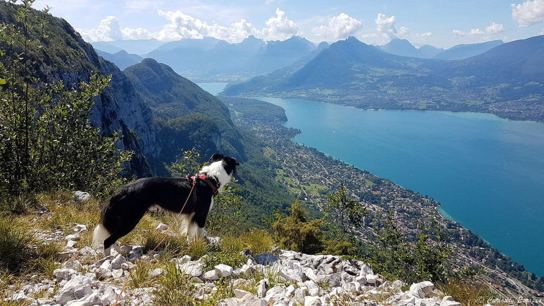 Les 5 meilleures excursions à partir d’Annecy